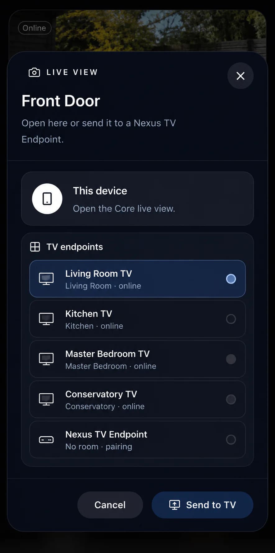 Nexus mobile camera view showing the choice to send a live camera to a television.