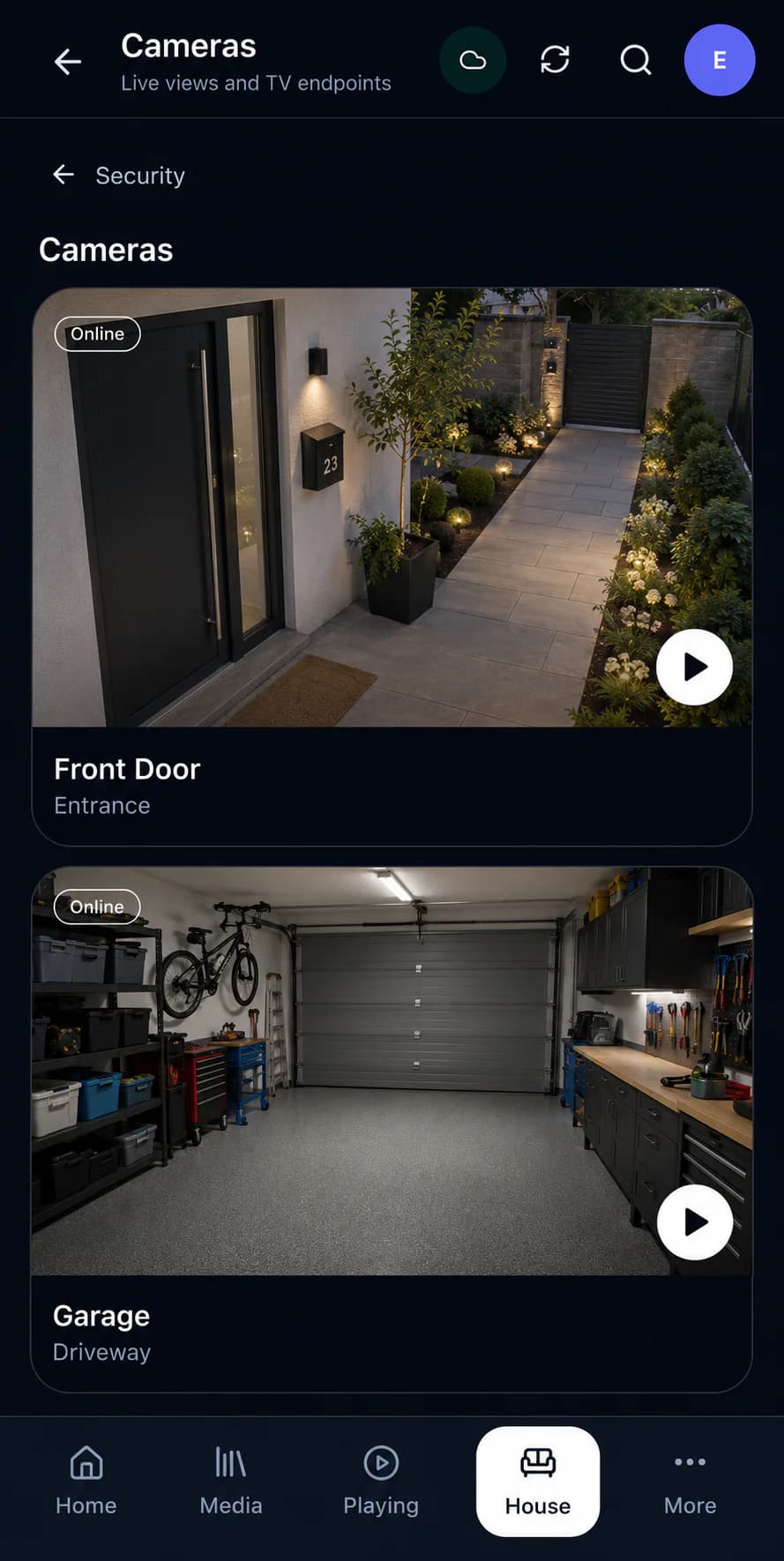 Nexus Cameras interface